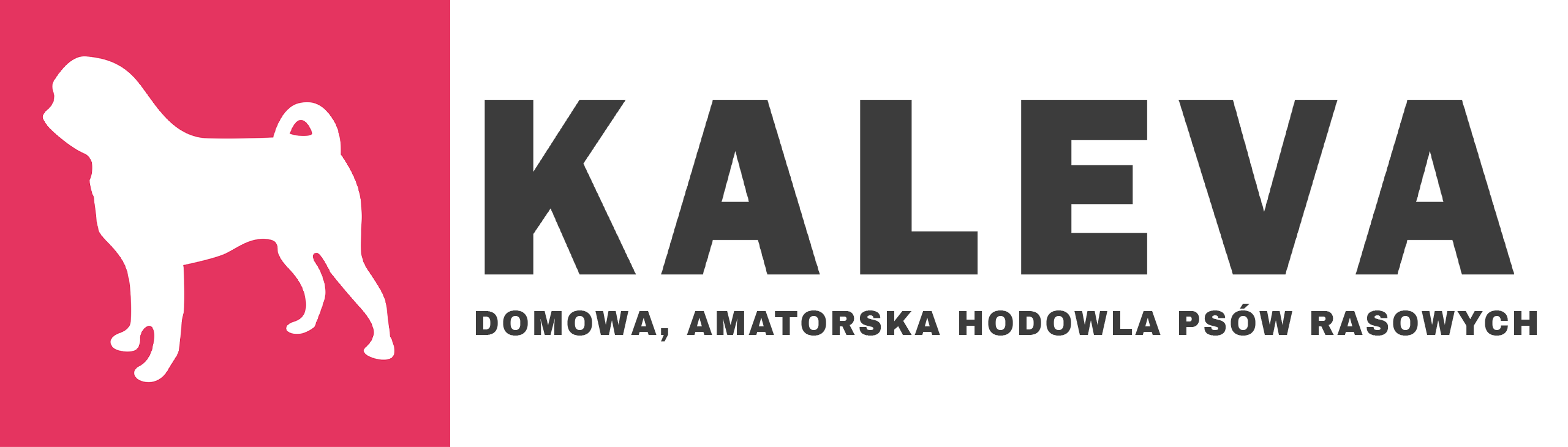 logo-kaleva